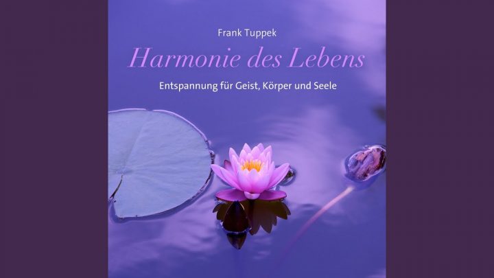 lied für den frieden lied für den frieden