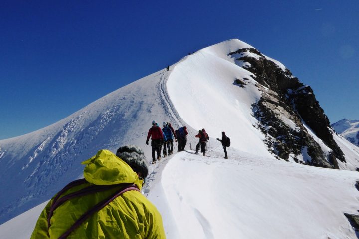 halbbruder des pollux halbbruder des pollux