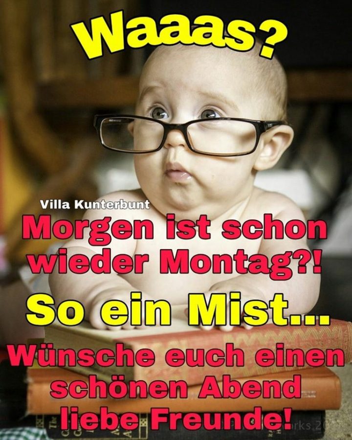 morgen ist schon wieder montag morgen ist schon wieder montag