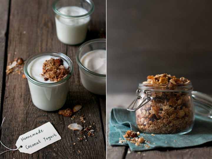 ist kokosmilch vegan ist kokosmilch vegan