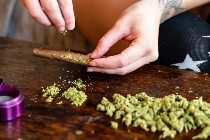 damiana blätter rauchen