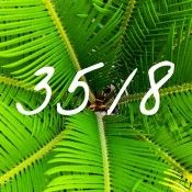 lebenszahl 35 8 lebenszahl 35 8