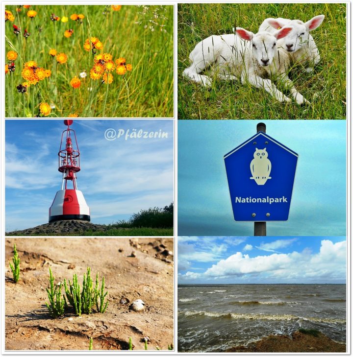 vorfreude auf urlaub vorfreude auf urlaub