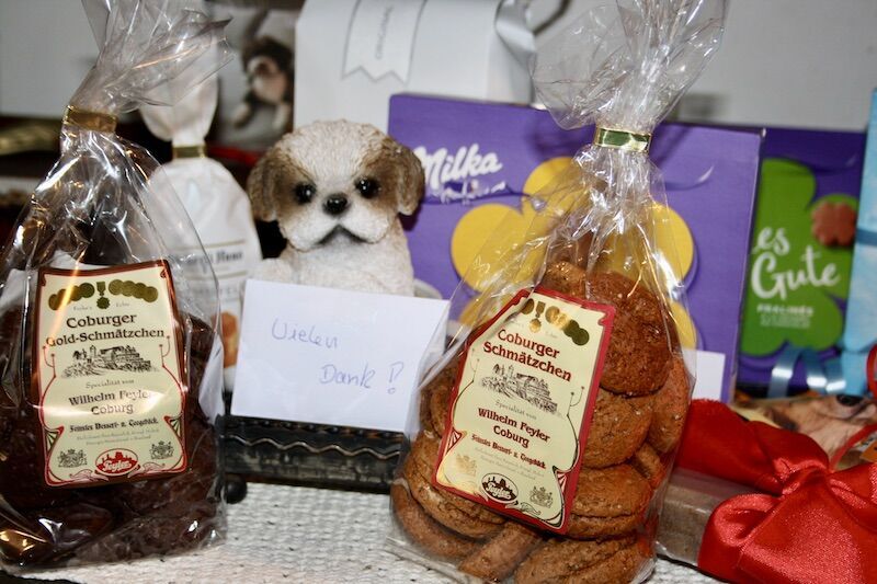 kindertraum auf 4 pfoten