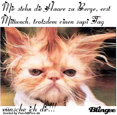 sprüche mittwoch lustig