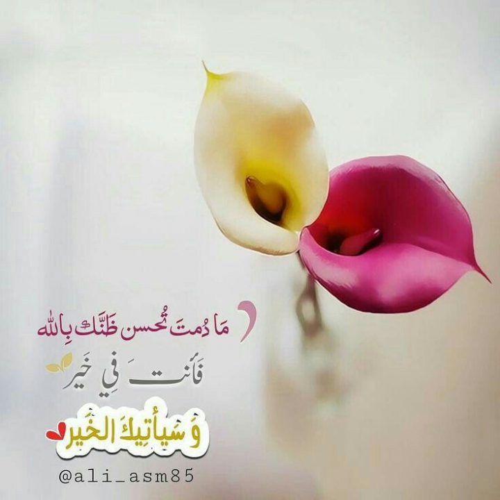 كتاب حسن الظن بالله كتاب حسن الظن بالله