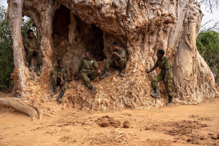 the brave ones staffel 2 the brave ones staffel 2