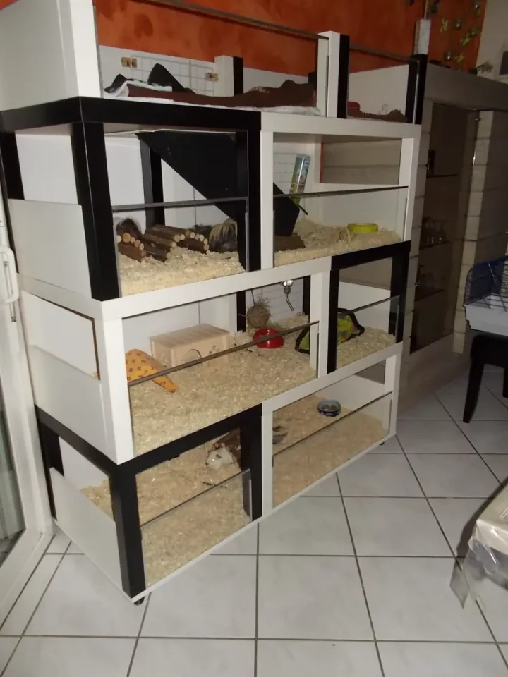 meuble cochon d inde meuble cochon d inde