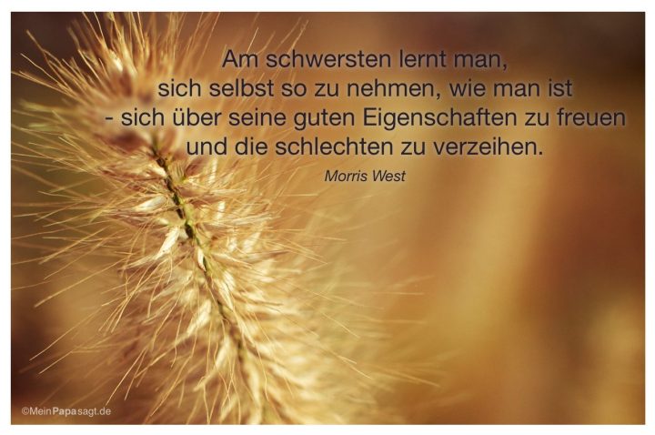 gedichte zur geburt goethe