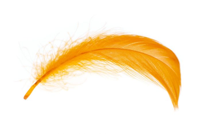 bedeutung schwarze feder bedeutung schwarze feder