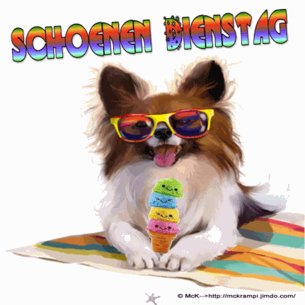 stressfreien dienstag bilder