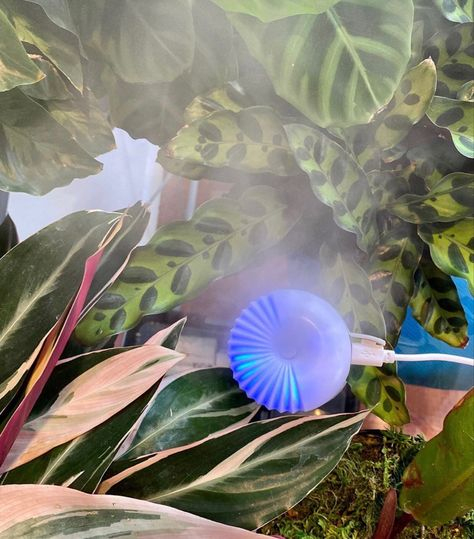 14 Atmostick Ideas | Better Living, Portable Humidifier destiné Atmostick 14 Atmostick Ideas | Better Living, Portable Humidifier destiné Atmostick