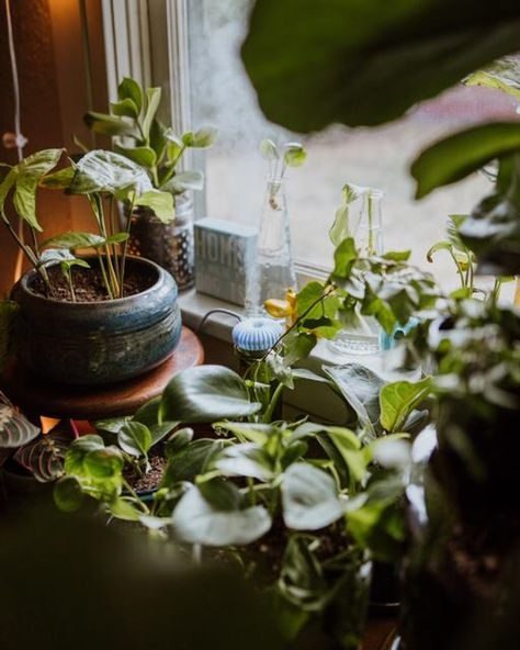 14 Atmostick Ideas | Better Living, Portable Humidifier destiné Atmostick 14 Atmostick Ideas | Better Living, Portable Humidifier destiné Atmostick