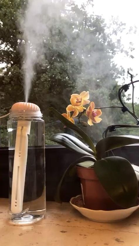 14 Atmostick Ideas | Better Living, Portable Humidifier destiné Atmostick 14 Atmostick Ideas | Better Living, Portable Humidifier destiné Atmostick