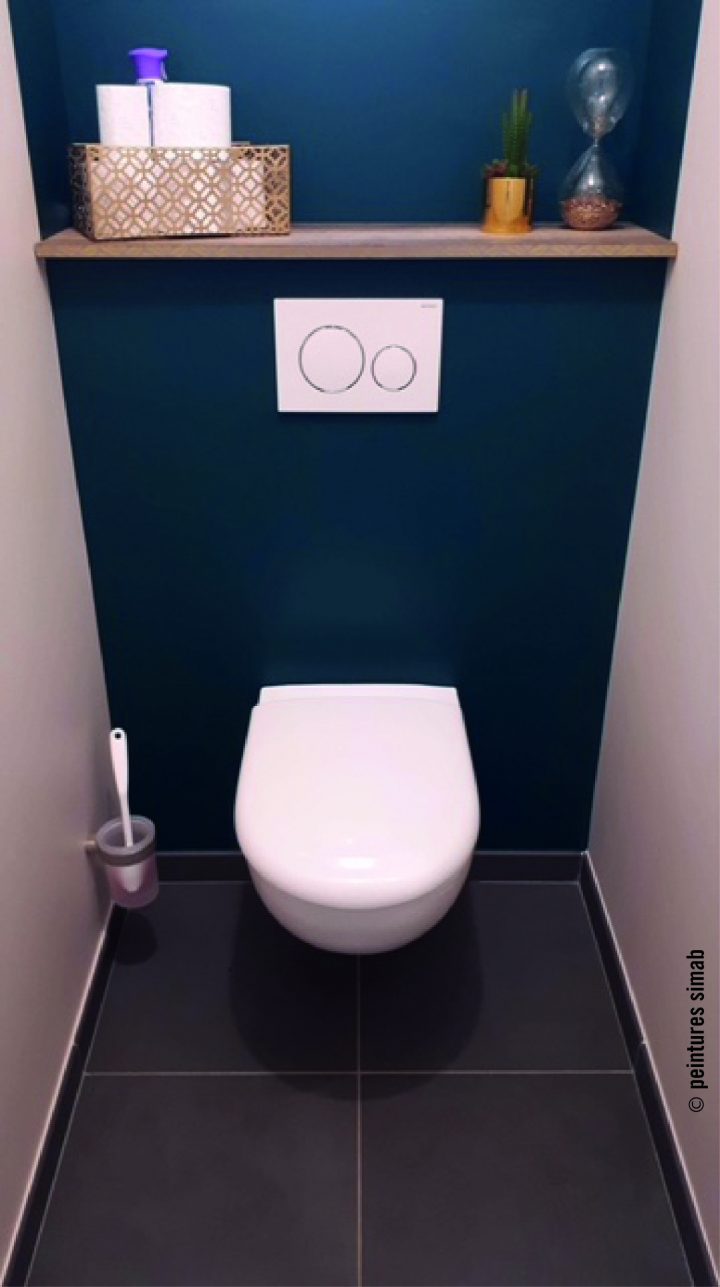 [43+] Peinture Idee Deco Toilette encequiconcerne Peinture Toilette Tendance