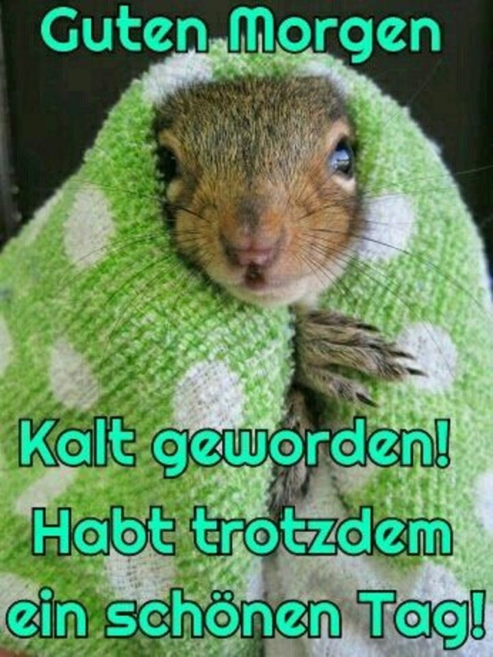 bild guten morgen kalt