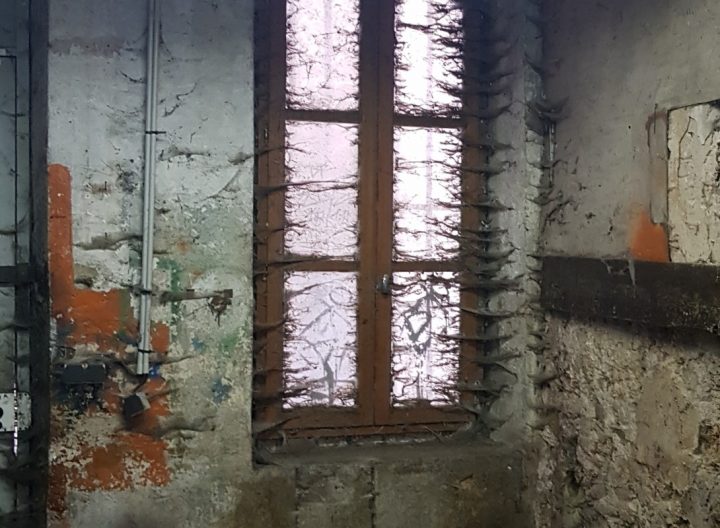 Agencement Et Décoration D'Une Distillerie De Gin À Toulon concernant Agencement Magasin Cotignac Agencement Et Décoration D'Une Distillerie De Gin À Toulon concernant Agencement Magasin Cotignac