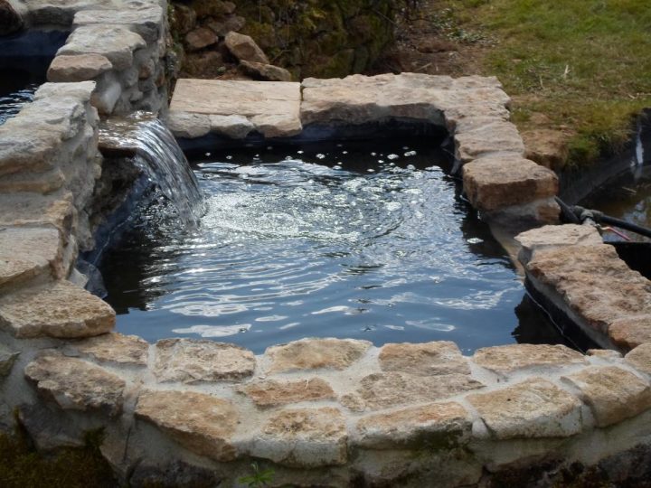 Bassin Rectangulaire Avec Lame D'Eau 967 Litres – Bassins avec Bassin De Jardin Préformé Rectangulaire