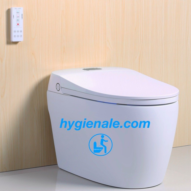 Toilette Japonaise Geberit