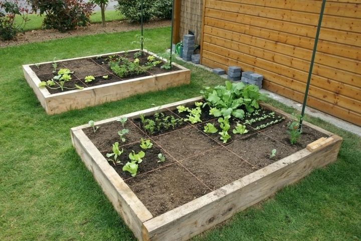 Carré Potager En Bastaings De Chêne Non Traités | Plants avec Carré Potager En Noisetier Tressé