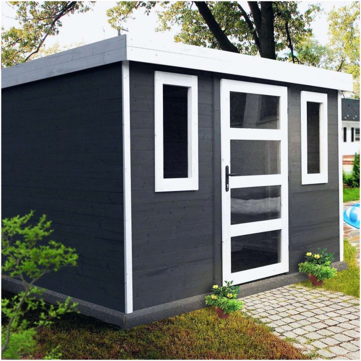 Chalet De Jardin 10M2 Leroy Merlin – Parc À Thème à Abri De Jardin Toit Plat 10M2