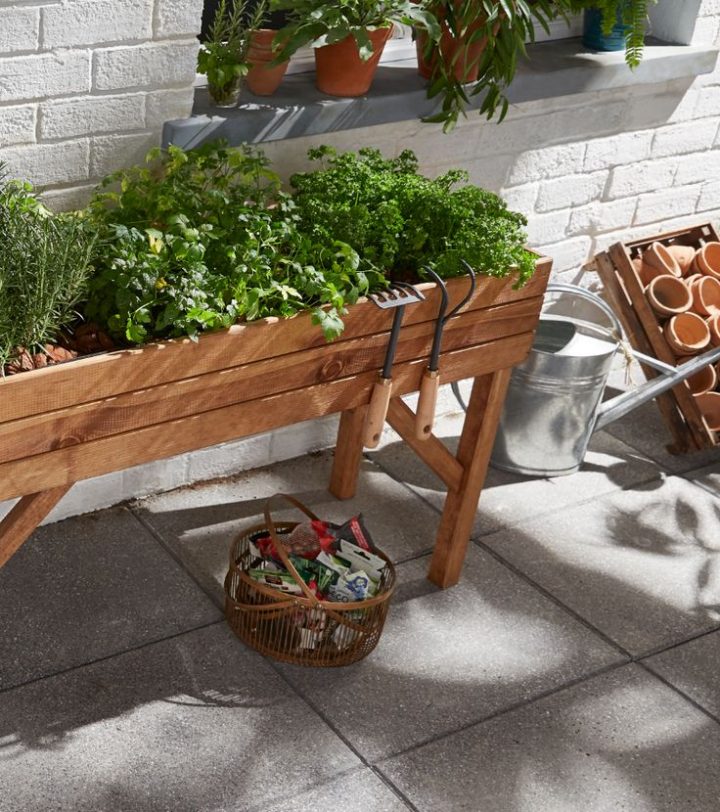 Faire Pousser Ses Propres Fruits, Légumes, Ou Plantes tout Carré Potager Castorama Faire Pousser Ses Propres Fruits, Légumes, Ou Plantes tout Carré Potager Castorama