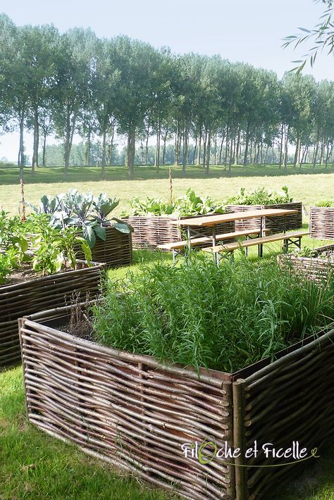 Les 23 Meilleures Images De Jardin | Déco Jardin, Jardins pour Carré Potager Noisetier Tressé Les 23 Meilleures Images De Jardin | Déco Jardin, Jardins pour Carré Potager Noisetier Tressé