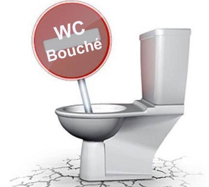 Que Faire En Cas De Wc Bouché ? – Mecaservices à La Cuvette Des Toilettes En Anglais