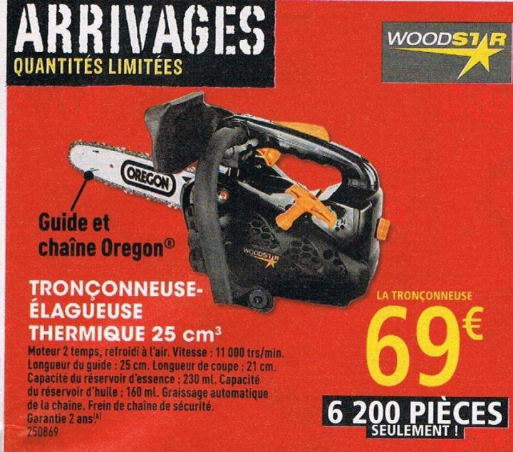 Tronçonneuse-Élagueuse Thermique Woodstar 25 Cm3 – Dealabs à Tronconneuse Brico Depot Tronçonneuse-Élagueuse Thermique Woodstar 25 Cm3 – Dealabs à Tronconneuse Brico Depot