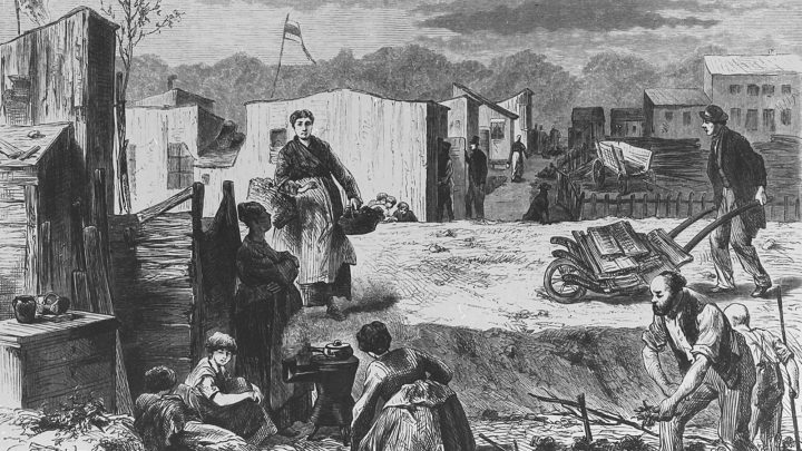 die natur der gesellschaft