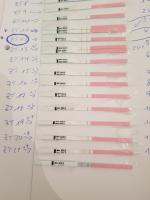 es+9 negativ wann positiv es+9 negativ wann positiv