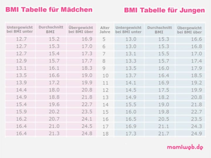 eine schildkröte wiegt 20 kg eine schildkröte wiegt 20 kg