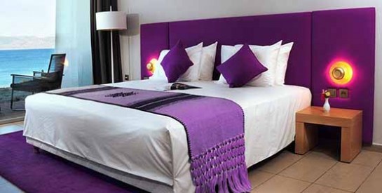 vous entrez dans une chambre 2 chiens