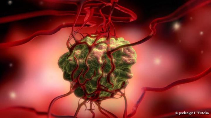 helicobacter geht nicht weg forum helicobacter geht nicht weg forum