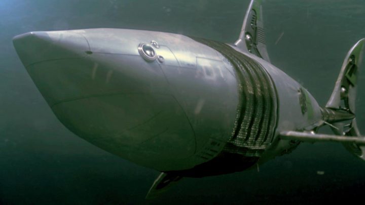 besetzung von mega shark vs. mechatronic shark besetzung von mega shark vs. mechatronic shark