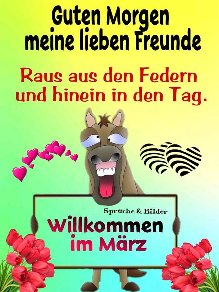 märz sprüche lustig märz sprüche lustig