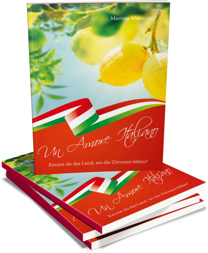 kennst du das land wo die kanonen blühn analyse kennst du das land wo die kanonen blühn analyse