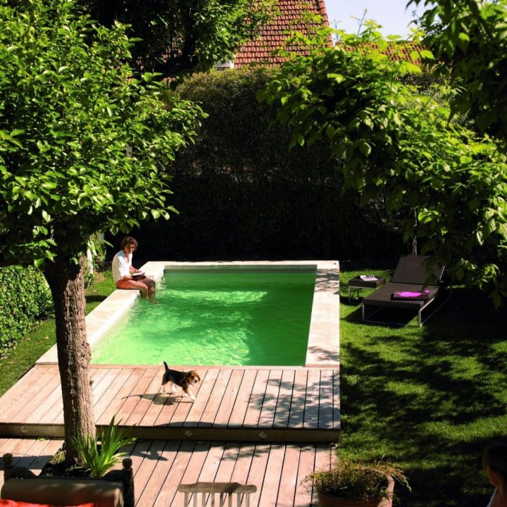 15 Idées Pour Intégrer Une Mini Piscine Dans Votre Jardin à Une Gazelle Dans Un Jardin