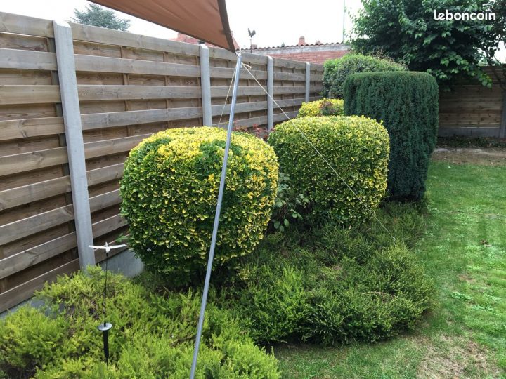 27 Élégant Le Bon Coin 16 Jardinage | Salon Jardin dedans Le Bon Coin 71 Jardinage 27 Élégant Le Bon Coin 16 Jardinage | Salon Jardin dedans Le Bon Coin 71 Jardinage