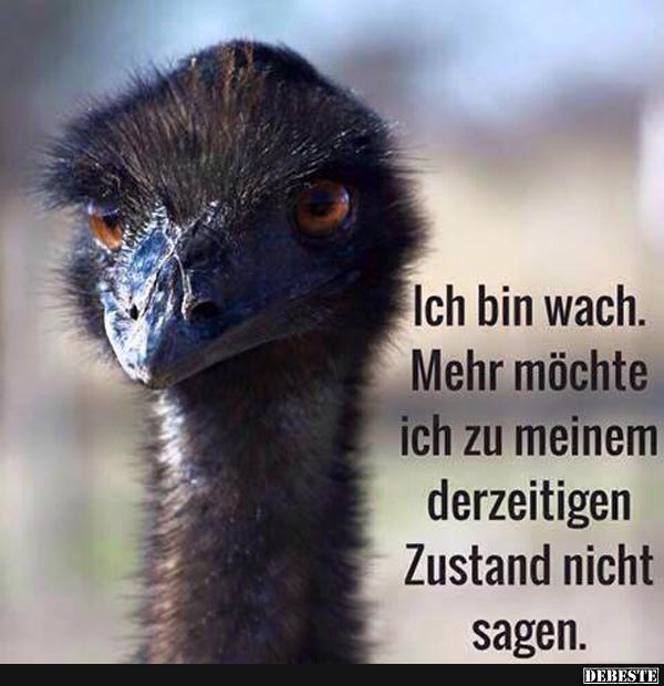 ich bin wach lustige bilder