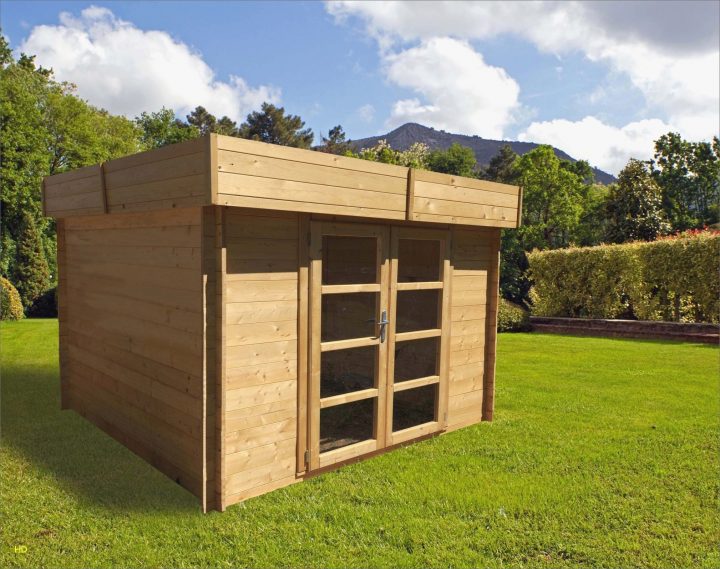 Abri De Terrasse Castorama – Cabanes Abri Jardin serapportantà Abri Jardin Castorama