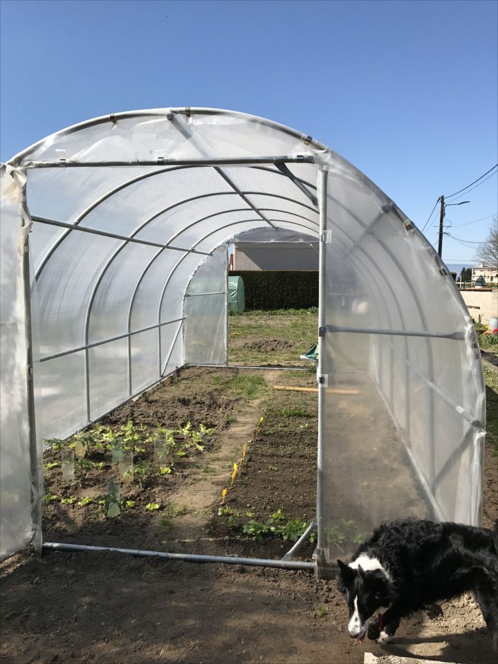 Aménagement De Serre D'Un Client | Design De Jardin destiné Serre Tunnel Leclerc