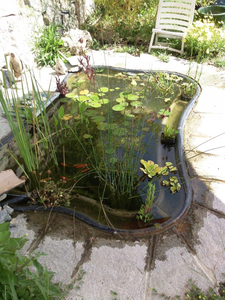 Bassin Poisson 750 L intérieur Bassin Préformé 365 L Bassin Poisson 750 L intérieur Bassin Préformé 365 L