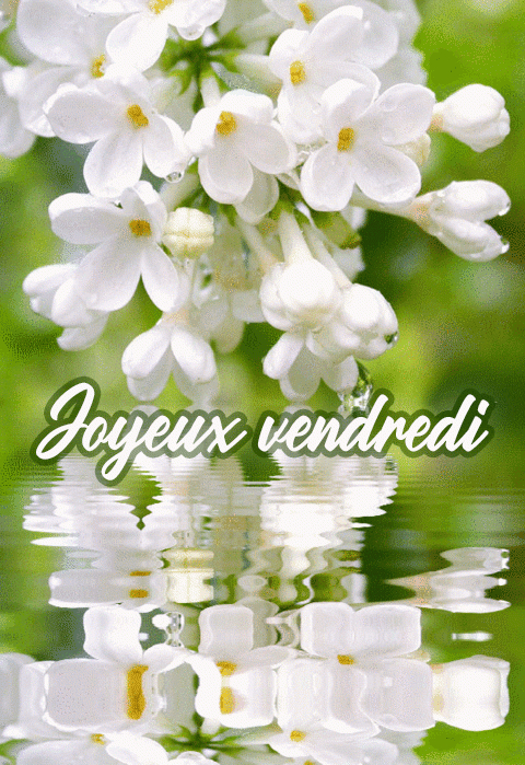 Bon Vendredi Gifs. 50 Images Animées Avec Légendes avec Gif Gratuit Rideau Qui S&#039;Ouvre