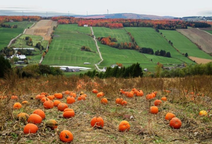Concours Photo – Vote | Fédération De L'Upa De La intérieur Danielle Et Bernard Heim Erstein Location Concours Photo – Vote | Fédération De L'Upa De La intérieur Danielle Et Bernard Heim Erstein Location