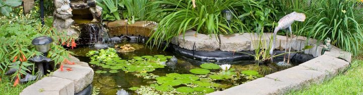 Construire Un Bassin Dans Son Jardin – Bricofamily concernant Une Gazelle Dans Un Jardin