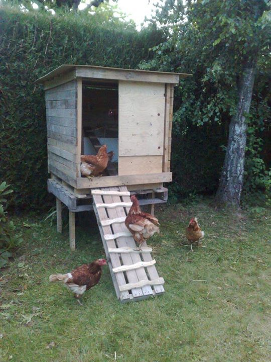 Construire Un Poulailler En Palette Cosmeticuprise concernant Cosmeticuprise Construire Un Poulailler En Palette Cosmeticuprise concernant Cosmeticuprise