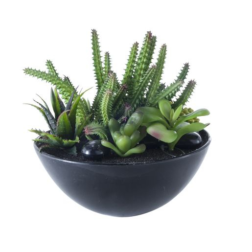 Coupe Cactus – Plastique – 19 X H 17 Cm – Noir | Cactus tout La Foir'Fouille Deserte