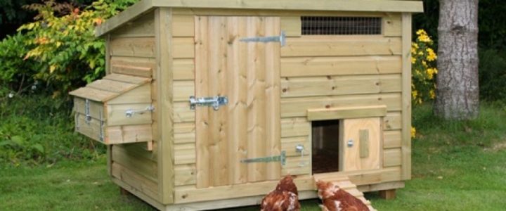 Épinglé Sur A Essayer avec Plan Construction En Palette Bois Pdf Épinglé Sur A Essayer avec Plan Construction En Palette Bois Pdf