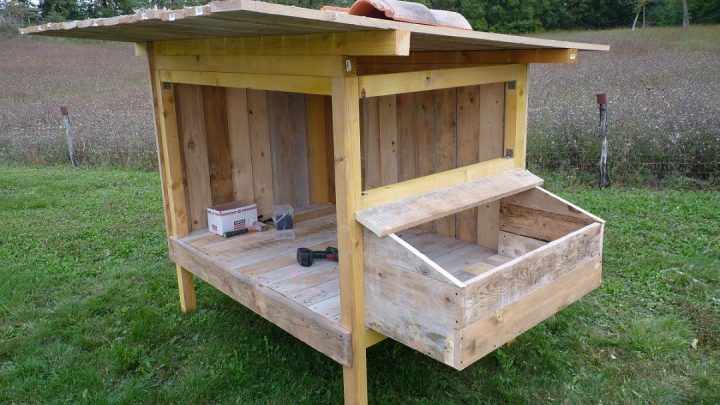 Épinglé Sur Poulailler dedans Plan Construction En Palette Bois Pdf Épinglé Sur Poulailler dedans Plan Construction En Palette Bois Pdf